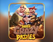 Three Crazy Piggies